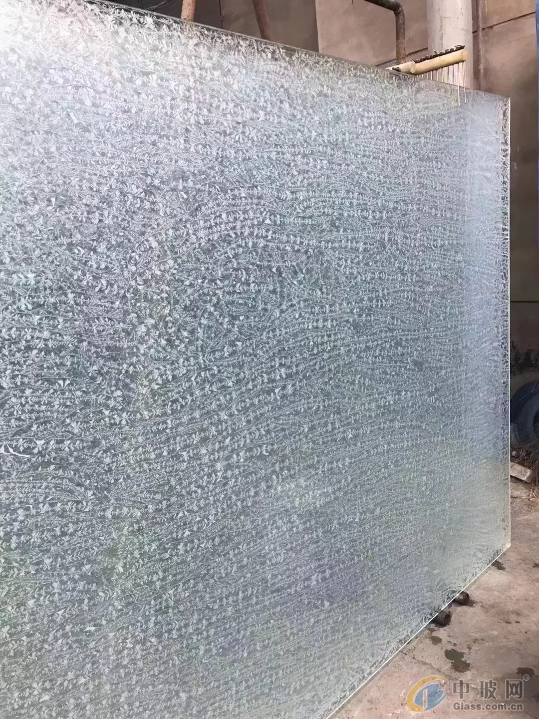 Imagen de referencia del producto